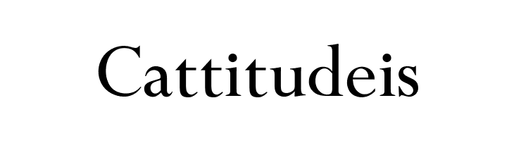 OPTIPapong-Light  Free Fonts Download