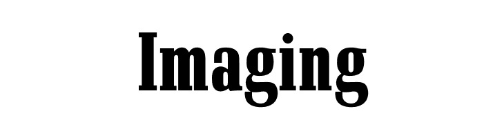 Imaging OPTISchadowAntiquaBoldCond Font