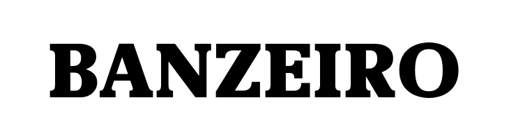 OPTIRemy-Bold  Free Fonts Download