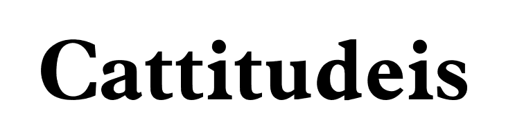 OPTIPlanet-Bold  Free Fonts Download