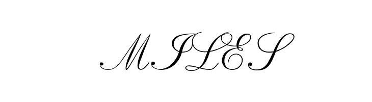 RespighiOpti-Script  Free Fonts Download