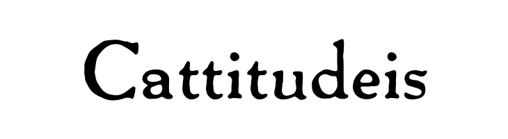 OPTIPackardBold-C  Free Fonts Download