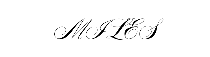 OPTIYale-ScriptSuppl  Free Fonts Download