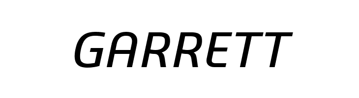 3ds-Italic  Free Fonts Download