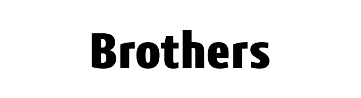 3ds-CondensedBold  Free Fonts Download