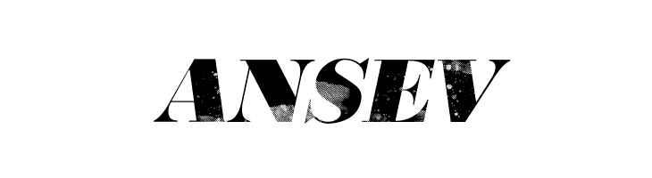 806 Typography 806 Typography  Free Fonts Download