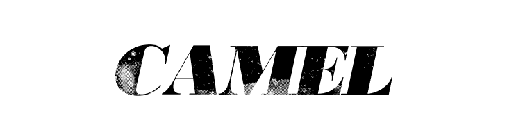 806 Typography 806 Typography  Free Fonts Download