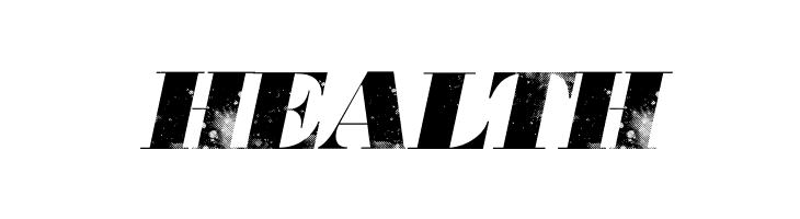 806 Typography 806 Typography  Free Fonts Download