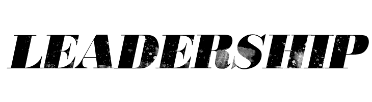 806 Typography 806 Typography  Free Fonts Download