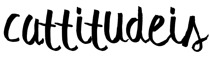 summer soul script  Free Fonts Download