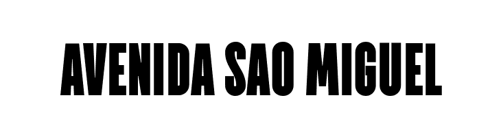 TT Directors DEMO BL Regular  Free Fonts Download