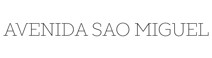 SLABSTHIN  Free Fonts Download