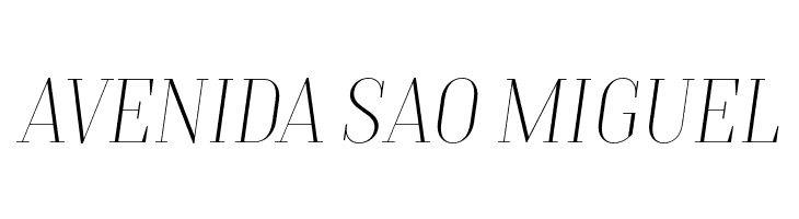 TTMoonsThinDEMO-Italic  Free Fonts Download