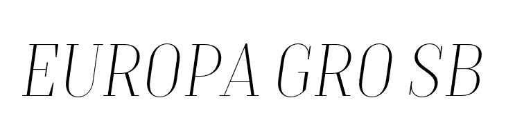 TTMoonsThinDEMO-Italic  Free Fonts Download