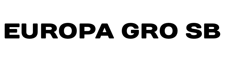 DaysSansBlack  Free Fonts Download