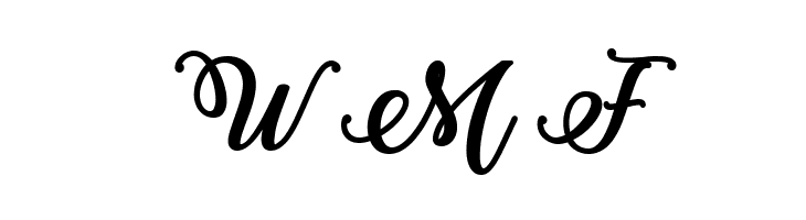 Bold & Stylish Calligraphy  Free Fonts Download