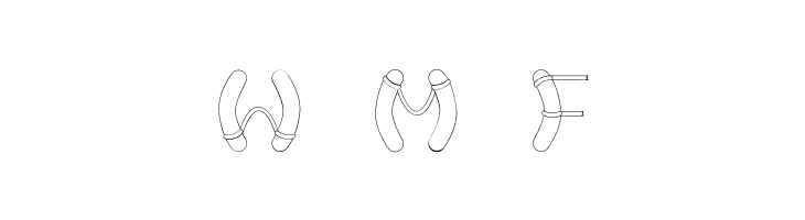 Nautical-Regular  Free Fonts Download