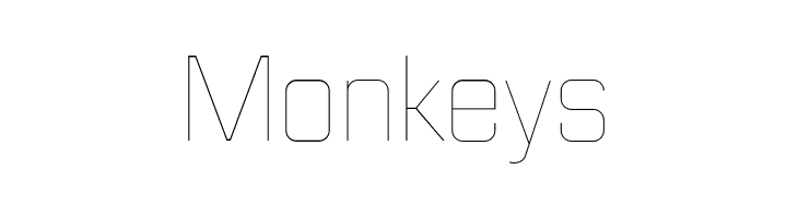 Huntkey Thin  Free Fonts Download