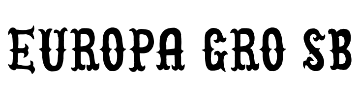 CowboyJunkDEMO  Free Fonts Download