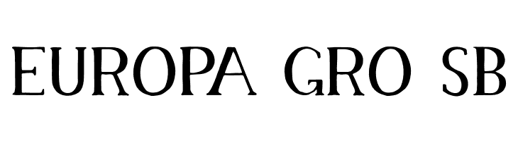 Memory Solid  Free Fonts Download