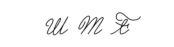 Castro Script PERSONAL USE ONLY  Free Fonts Download