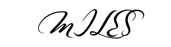 Casablanca Noir Personal Use Regular  Free Fonts Download