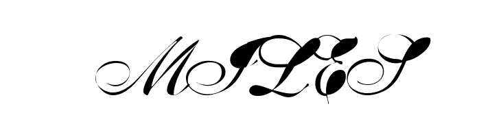 BreastBomb  Free Fonts Download