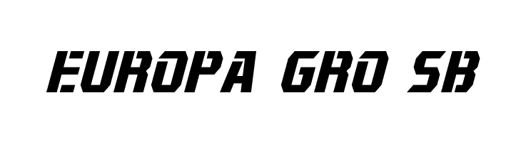 Combatron Italic  Free Fonts Download