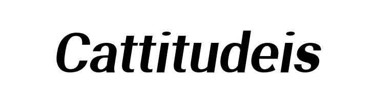 Aerodynamic Oblique  Free Fonts Download