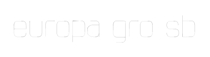 Thin_Text  Free Fonts Download