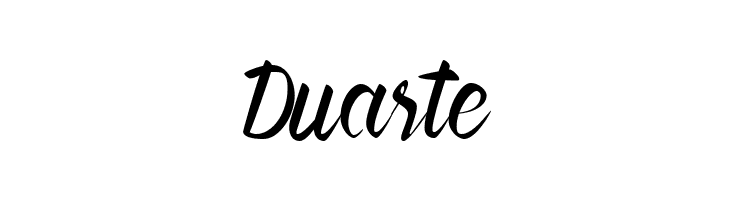 Forever Brush Script  Free Fonts Download