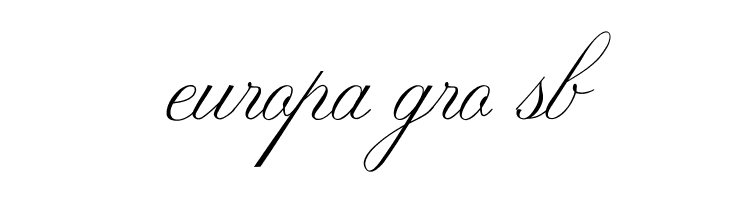 Marriage Moment Personal Use  Free Fonts Download