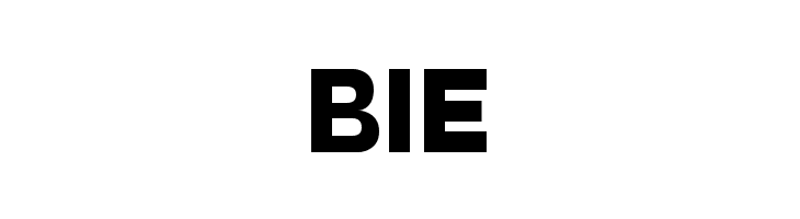 Dulkanyca Bold  Free Fonts Download