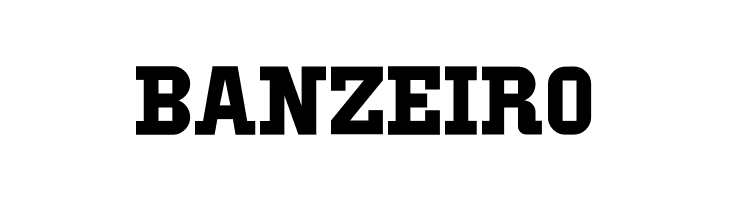 IBM Block Serif  Free Fonts Download