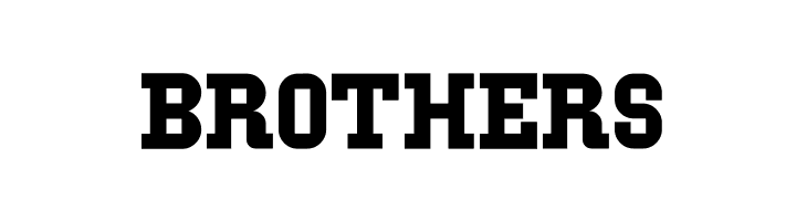 IBM Block Serif  Free Fonts Download