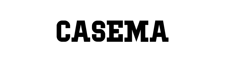 IBM Block Serif  Free Fonts Download