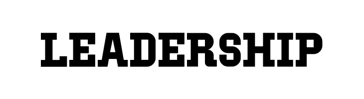 IBM Block Serif  Free Fonts Download