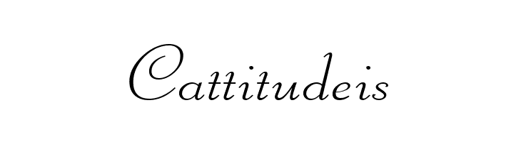 Liberate Wide Normal  Free Fonts Download