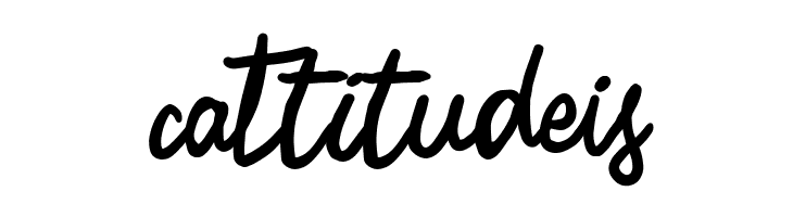 Zerocalcare Script NC Bold  Free Fonts Download