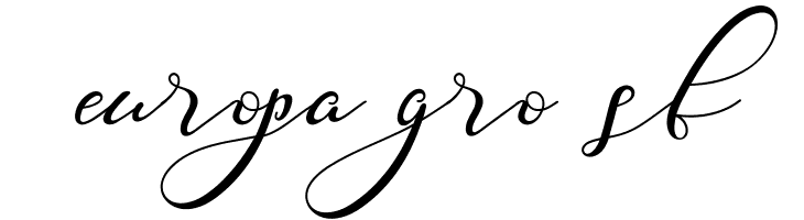 Nazeefa Script  Free Fonts Download