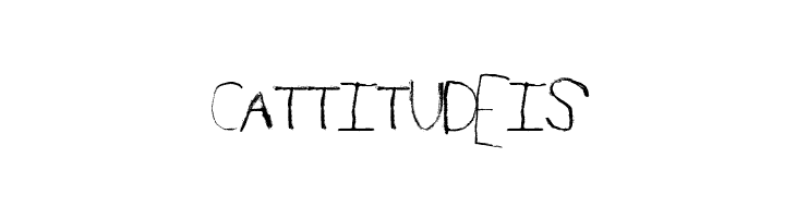 SpringRaces  Free Fonts Download