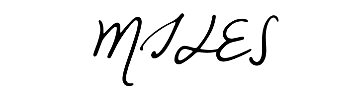 NightWindSentSample  Free Fonts Download