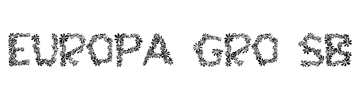 Chamylle  Free Fonts Download