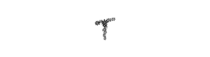 Chamylle  Free Fonts Download