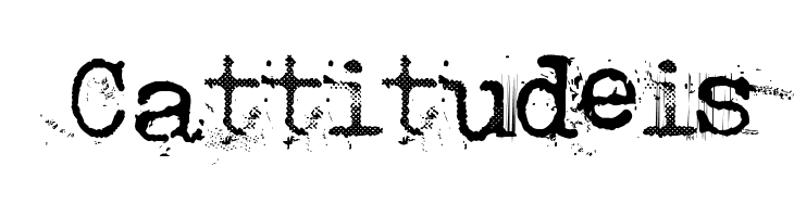 Punktype  Free Fonts Download