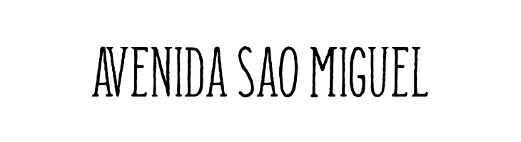 Camargue Serif Regular  Free Fonts Download