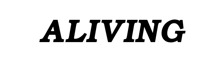 ER Bukinist Mac Bold Italic  Free Fonts Download