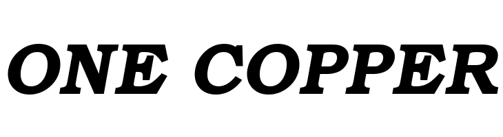 ER Bukinist Mac Bold Italic  Free Fonts Download