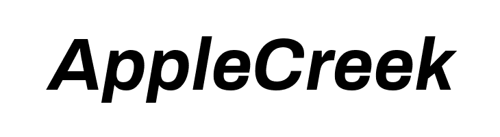 Archivo Bold Italic  Free Fonts Download