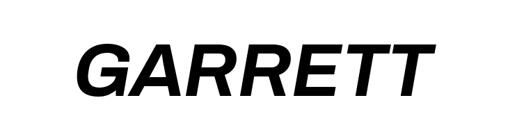 Archivo Bold Italic  Free Fonts Download